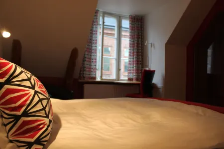 Magles Smiley Inn Отели рядом с достопримечательностью «Ботанічний сад Лундського університету»