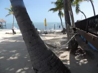 Sands of Islamorada - Beach