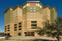 Drury Plaza Hotel San Antonio North Stone Oak Hotels near Walgreens