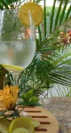Hotel Boutique la Pergola - bar