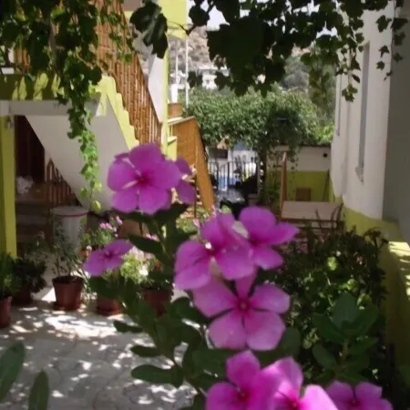 Zeybek 1 Pension