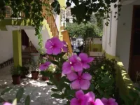 Zeybek 1 Pension - Guest houses