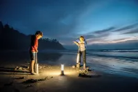 Salt Hotel & Pub Hotels in Ilwaco