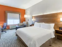홀리데이 인 익스프레스 앤드 스위트 오팔론/실로 바이 IHG 세인트클레어 호텔
