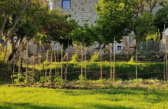 貝拉斯庫薩酒店