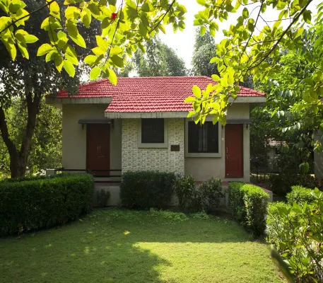 Olive Resort & Villas Hotels in Kohka