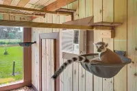 與樹懶和狐猴同眠！現代韋伯斯特住宅 - 停車場