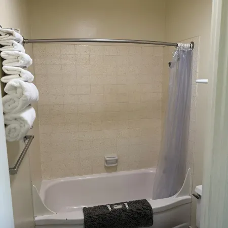 Downtowner Inn