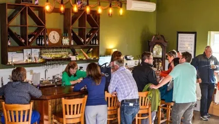 Modern Bungalow less than a mile from downtown Hendersonville