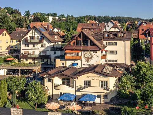 Hotel Ursula - spa