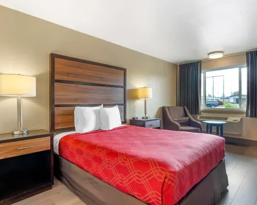 Rodeway Inn Hotels in Albany