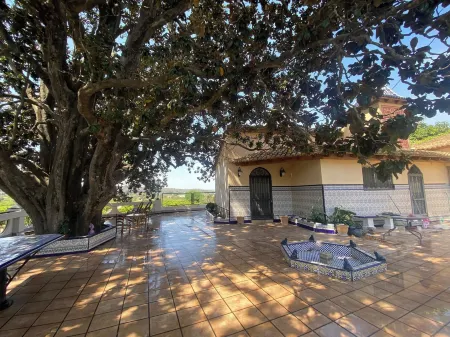 Room-orange Room Your Refuge of Tranqu