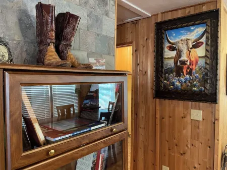 Rustic Hillside Cabin near Mineral Wells - 2 bedrooms, Brazos River Access