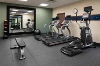 Hampton Inn and Suites Hudson - gimnasio