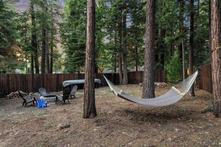 Cozy Cabin in the Woods with Comforts, Hot Tub, Walk to Lake Отели в г. Гамильтон Бранч