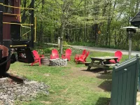 Ski Elk Mountain, Hike, Walk or Bike Rail to Trails, Fish, or Star Gaze.