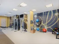 Hilton Garden Inn Chicago Downtown/Magnificent Mile - Gym