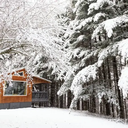 Remote Tiny Cabin & Hiking!