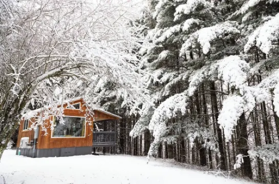 Remote Tiny Cabin & Hiking!