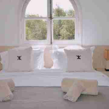 A haven of peace in the countryside surrounded by 90 olive and 10 argan trees Rooms