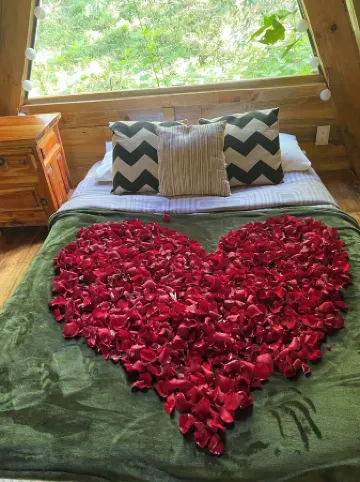 Cozy cabin in the forest of Tepoztlán! Ideal for rest and relaxation!