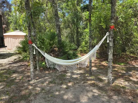 Sunshine Serenity @ Crystal River, Florida Отели в г. Хомосасса-Спрингс