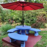 Hospedaje en Bosque Tropical Reforestado, Lleno de Naturaleza, paz y Relajación