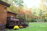 Cozy woodsy family-friendly cabin retreat
