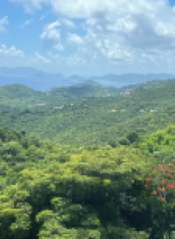 Caribbean Delight, exceptional views, charming 2 bedroom, 2 bath apartment.