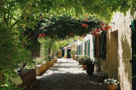 Le Mas des Chevaux, Authentic Provencal Mas with swimming pool for 12 people Отели в г. Кавайон