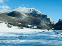 Casuta Boema (Boema Cottage) New construction Hotels in Rasnov