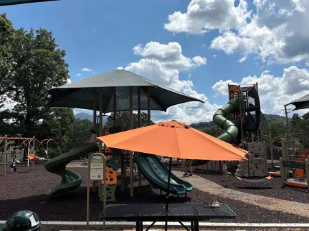 Relaxing Farmhouse, pet friendly, walk to town