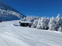 Absolute best ski on-off Slopeside location. Summer 2025 Reno just completed. Hoteles en Jay