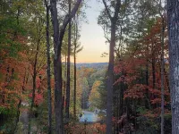 Modern Cabin w/ Fire Pit < 3 Mi to Trails! Hotels in Boyd