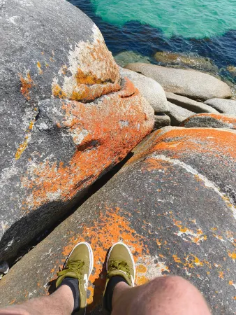 Briar Cottage Weldborough