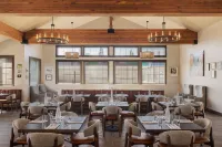 Starlite Yellowstone, Tapestry Collection by Hilton