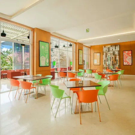 Ibis Styles Solo