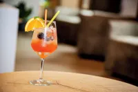 Chalet Aster - bar