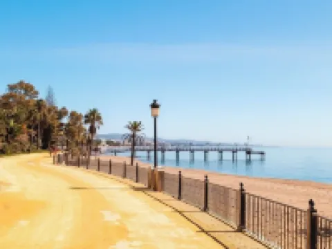 ホスタル カサ ミゲル マルベーリャ マルベーリャのホテル