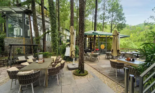 Kasauli Hills Resort