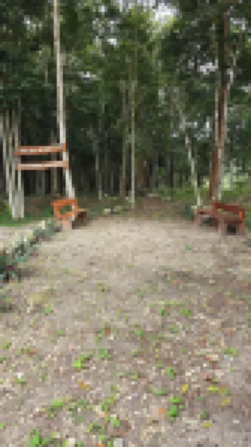 Hotel El Paraíso Calakmul Hotels in Calakmul Municipality