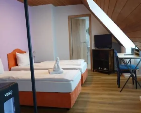 ホテル ビルンバウム アンスバッハのホテル