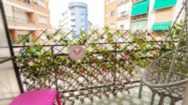 Guesthome Lemon & Green