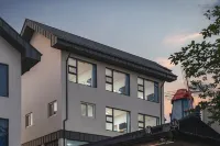 江陵斯泰雷梅迪