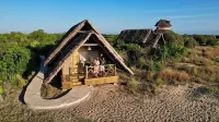 Saadani Beach Camp - Homestays