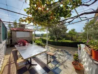 Apartments and Room Ivanka Petar Hotels in Krk