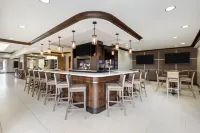 Hilton Garden Inn Dulles North - bar
