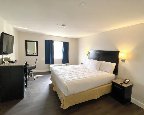 Quality Inn Del Rio Hotels in Del Rio