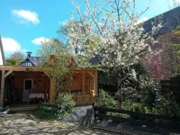B&B De Zwerver Hotels in 