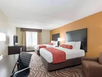 Comfort Inn & Suites Tampa North I-75 Hotels in Tampa